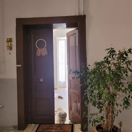 Casamaria